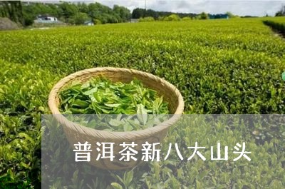 普洱茶新八大山头/2023033076158