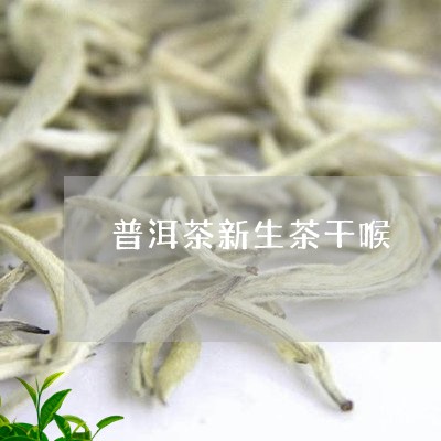 普洱茶新生茶干喉/2023031649305