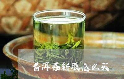 普洱茶新股怎么买/2023041094927