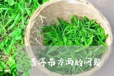 普洱茶方面的问题/2023040926060