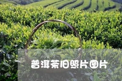 普洱茶旧照片图片/2023031872703