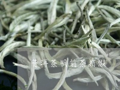 普洱茶明前茶打假/2023041101616