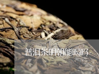 普洱茶明朝能喝吗/2023031660948