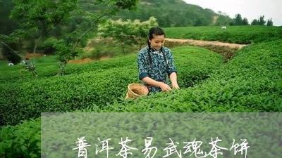 普洱茶易武魂茶饼/2023031636259