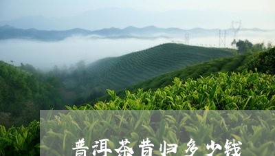 普洱茶昔归多少钱/2023031763137