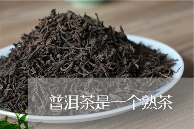 普洱茶是一个熟茶/2023033186848