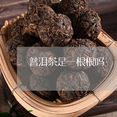 普洱茶是一根根吗/2023033087361