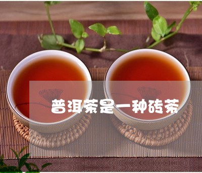 普洱茶是一种砖茶/2023033143514