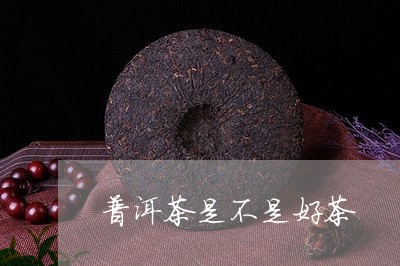 普洱茶是不是好茶/2023031668252