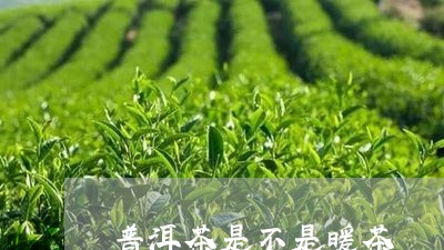 普洱茶是不是暖茶/2023041107161