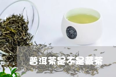 普洱茶是不是藏茶/2023041179272