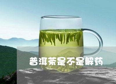 普洱茶是不是解药/2023040966149