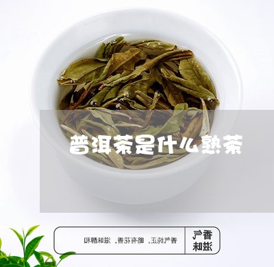 普洱茶是什么熟茶/2023041142835