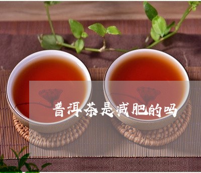 普洱茶是减肥的吗/2023031817280