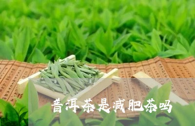 普洱茶是减肥茶吗/2023031870604