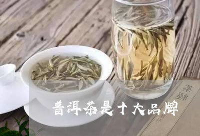 普洱茶是十大品牌/2023033137279