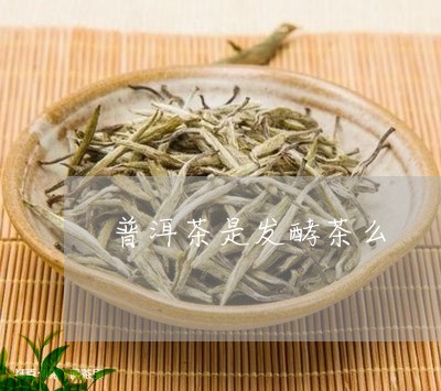 普洱茶是发酵茶么/2023031548383