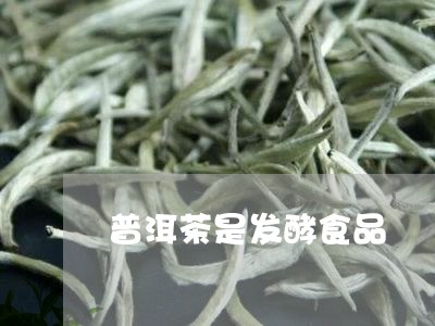 普洱茶是发酵食品/2023033069595