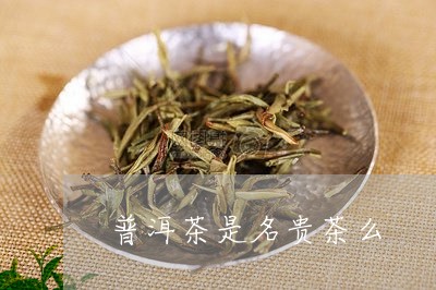 普洱茶是名贵茶么/2023041118494