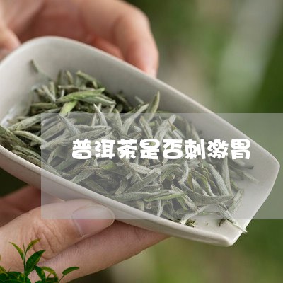 普洱茶是否刺激胃/2023040947482