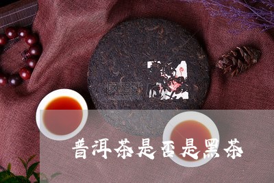 普洱茶是否是黑茶/2023031679371