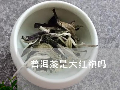 普洱茶是大红袍吗/2023031711625