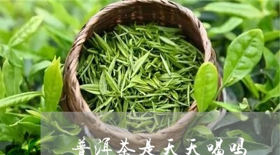 普洱茶是天天喝吗/2023031616281