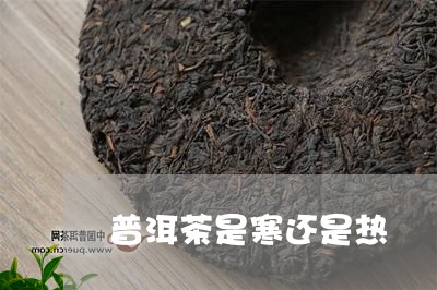 普洱茶是寒还是热/2023040147379