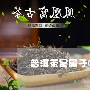 普洱茶是属于啥类/2023041204840