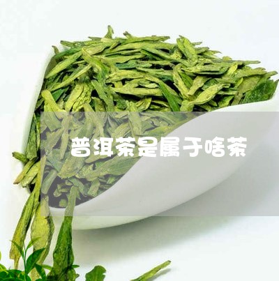 普洱茶是属于啥茶/2023031689373