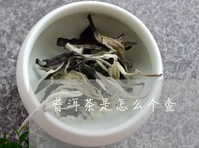 普洱茶是怎么个查/2023041242826