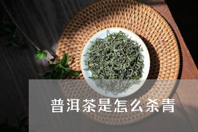 普洱茶是怎么杀青/2023041289460