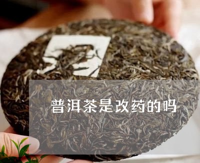 普洱茶是改药的吗/2023033174047