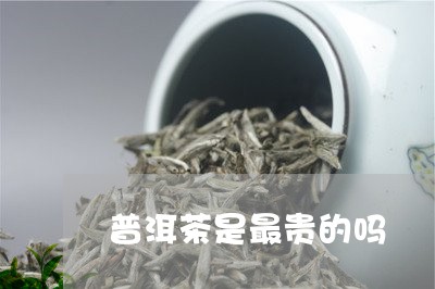 普洱茶是最贵的吗/2023031795058