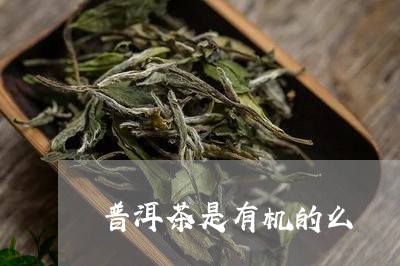 普洱茶是有机的么/2023040131685