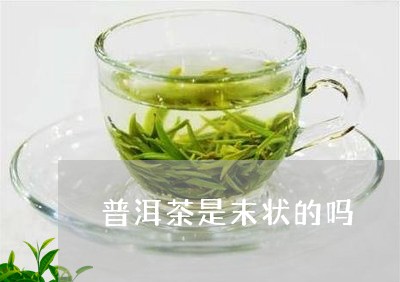 普洱茶是末状的吗/2023033194857