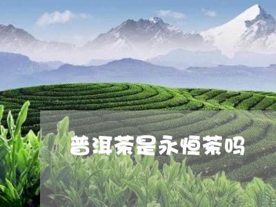 普洱茶是永恒茶吗/2023041160403