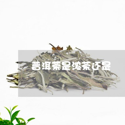 普洱茶是浓茶还是/2023041017381