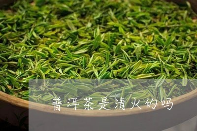 普洱茶是清火的吗/2023033151926