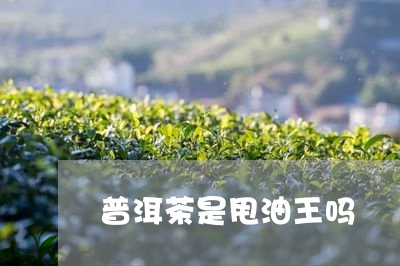 普洱茶是甩油王吗/2023033082716