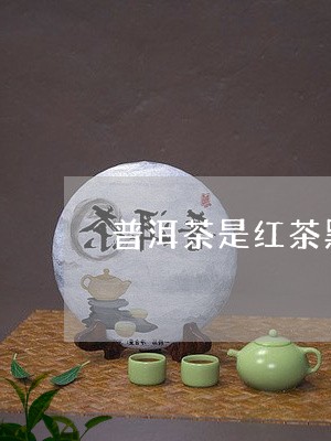 普洱茶是红茶黑茶/2023041193069