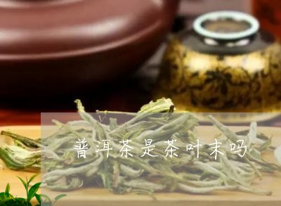 普洱茶是茶叶末吗/2023033064725