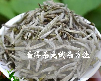 普洱茶是试茶方法/2023041137047