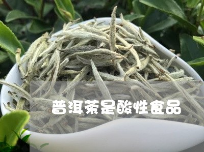 普洱茶是酸性食品/2023032914039