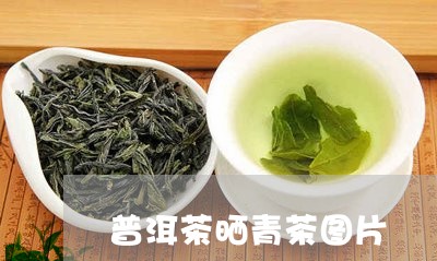 普洱茶晒青茶图片/2023041127493