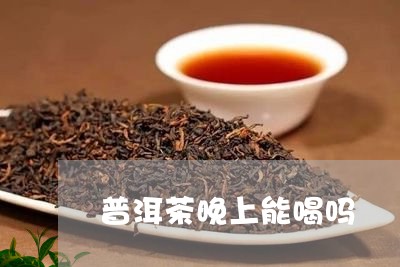 普洱茶晚上能喝吗/2023041396948