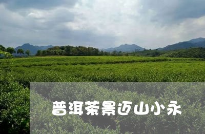 普洱茶景迈山小永/2023033185279