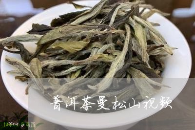 普洱茶曼松山视频/2023041386151