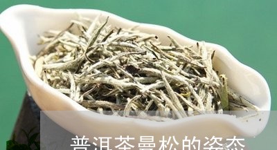 普洱茶曼松的姿态/2023041369484