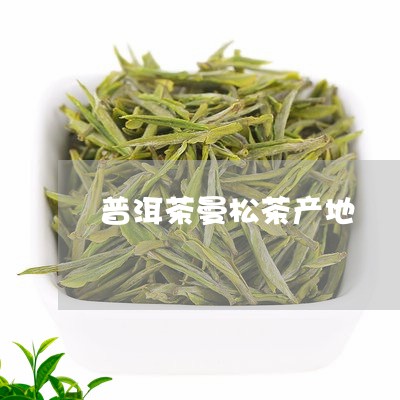 普洱茶曼松茶产地/2023041124835